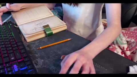 Snapshot of elisa_north chatting on 01.27.25 Elisa North online show from 01.27.25