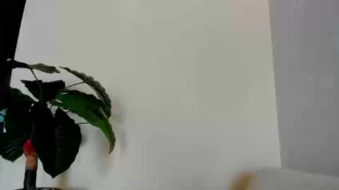 My name is ElizaPVT is open online show from 09.08.25