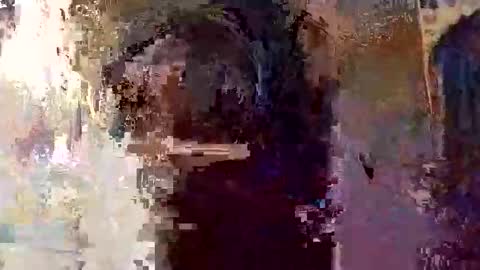 elizabit online show from 04.05.26