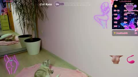 rosi online show from 04.22.26