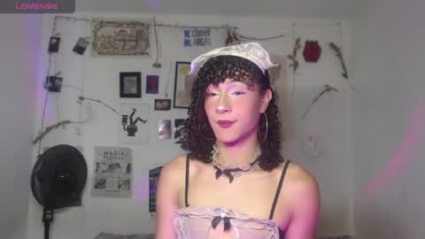  . online show from 03.14.26