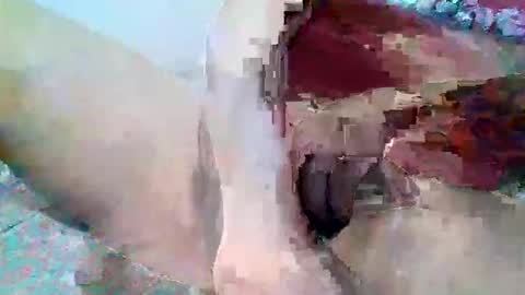 elmario24 online show from 12.01.25