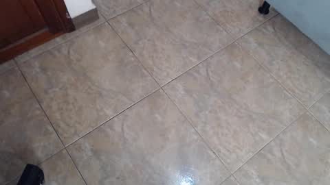 EloiseQuinn online show from 12.26.24