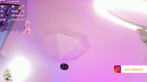 Snapshot of elsiemorriis chatting on 12.23.24 ELSIE online show from 12.23.24