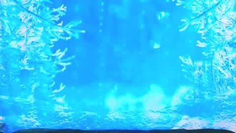 Snapshot of ember_starleena chatting on 01.19.26 Ember Starleena online show from 01.19.26