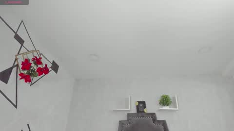 Snapshot of emiliarose_ chatting on 11.16.25 EmiliaRose online show from 11.16.25