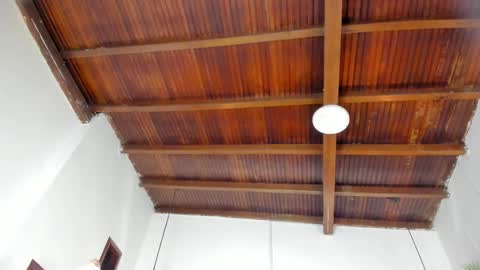 Emily  online show from 02.21.26