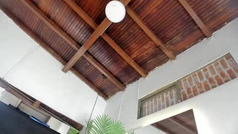 Emily  online show from 04.17.26