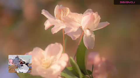 Snapshot of emily_hott1 chatting on 11.20.25 emily hoot1 online show from 11.20.25