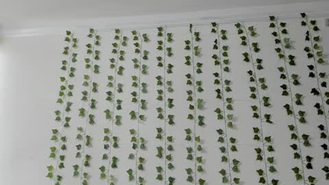 emily online show from 02.05.26