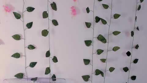 Emily online show from 02.02.25