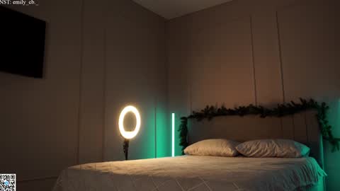 Snapshot of emilybatee chatting on 01.29.25 emilybatee online show from 01.29.25