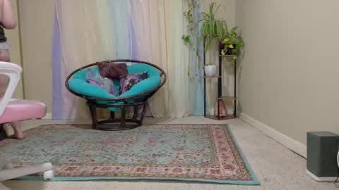 emily haze online show from 10.24.25