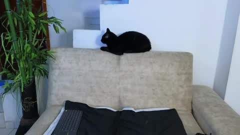 Emma Blue  modelo independiente online show from 04.22.26