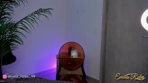 Snapshot of emma_rules99 chatting on 02.23.25 Emma online show from 02.23.25