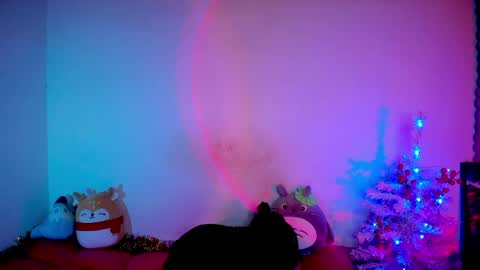 RH-NEGATIVE GREEN-EYED BAELIEN online show from 03.31.26