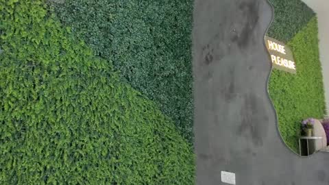 Snapshot of emmiily_z chatting on 01.31.25 Emmiily online show from 01.31.25