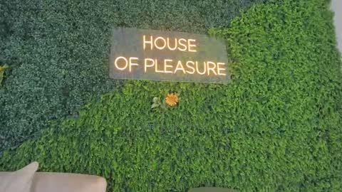 Snapshot of emmiily_z chatting on 02.22.25 Emmiily online show from 02.22.25