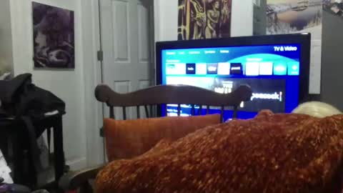 empusalamia online show from 01.25.25