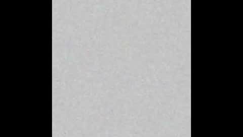 Missis And Mister Fox online show from 01.07.26