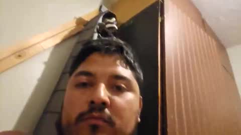 engineer_model_2022 online show from 03.01.26