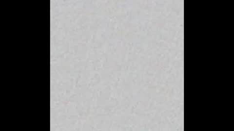 englisharabcock online show from 09.14.25