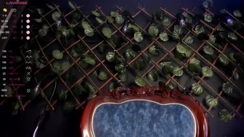 Snapshot of enju_sweet chatting on 12.07.24 ENJU I will be back online at 830PM GMT-5 online show from 12.07.24