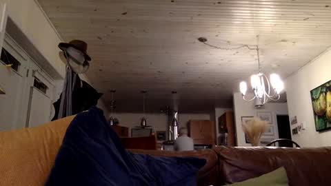 eros online show from 12.13.24