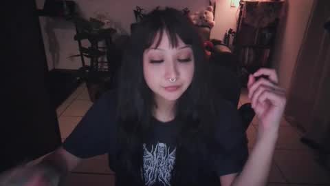 Snapshot of etherealhazy chatting on 11.12.25 etherealhazy online show from 11.12.25