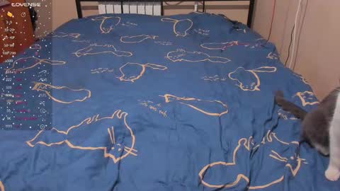 Eva online show from 01.13.26