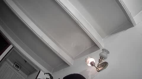 Snapshot of evacollins12 chatting on 02.25.25 evacollins12 online show from 02.25.25