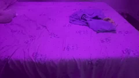 evandroribeiro online show from 04.08.26