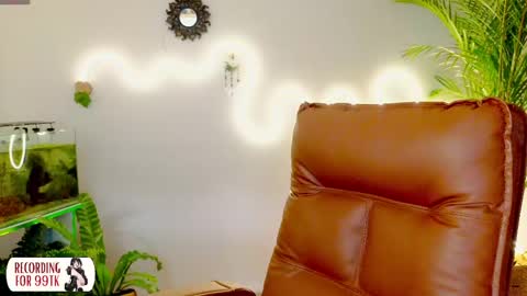 Im Eve or Chelle Next Stream 191224  online show from 04.21.26