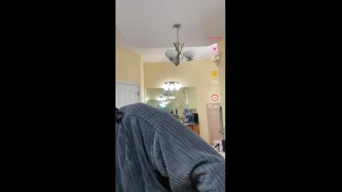 Aly online show from 04.07.26