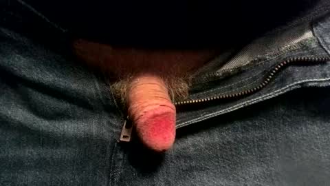 evolite_ online show from 11.19.25