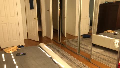 exhibitp online show from 02.09.25