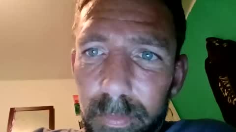 experttreecompany online show from 03.23.26