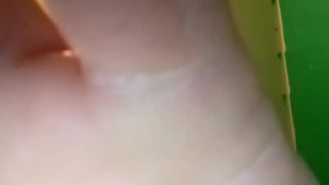 experttreecompany online show from 04.10.26