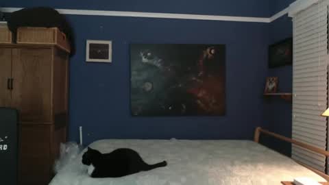 Tommy Rose online show from 12.26.24