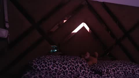 eyshaexotii online show from 03.18.26