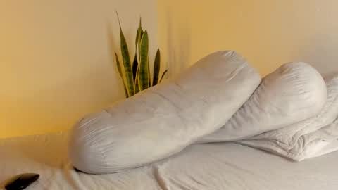 -  A N D E R online show from 01.13.26