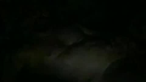 FABX online show from 11.10.25