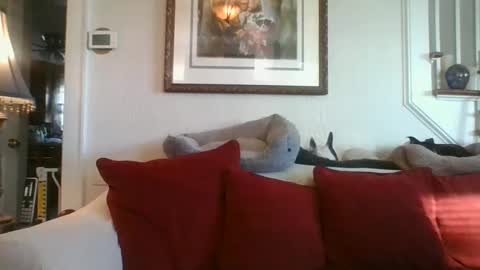 Snapshot of fairmount31 chatting on 01.07.25 fairmount31 online show from 01.07.25