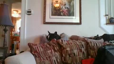 Snapshot of fairmount31 chatting on 02.19.25 fairmount31 online show from 02.19.25