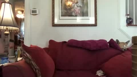 Snapshot of fairmount31 chatting on 10.21.25 fairmount31 online show from 10.21.25