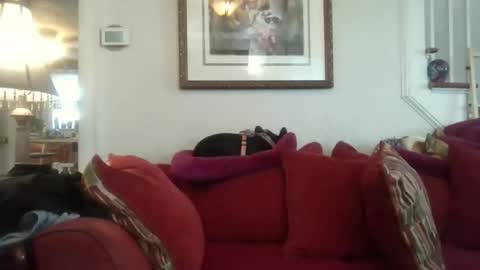 Snapshot of fairmount31 chatting on 11.07.25 fairmount31 online show from 11.07.25