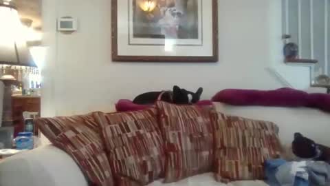 Snapshot of fairmount31 chatting on 11.12.25 fairmount31 online show from 11.12.25