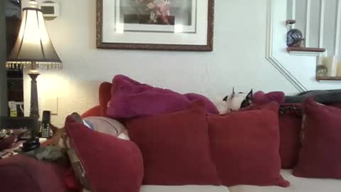 Snapshot of fairmount31 chatting on 02.13.26 fairmount31 online show from 02.13.26