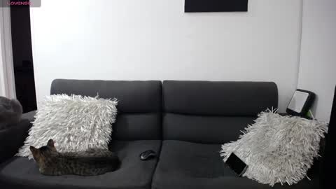 Snapshot of fallgays chatting on 02.22.25 FallGays online show from 02.22.25