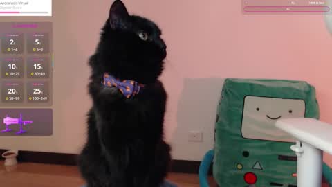  Fantasma.  online show from 10.25.25